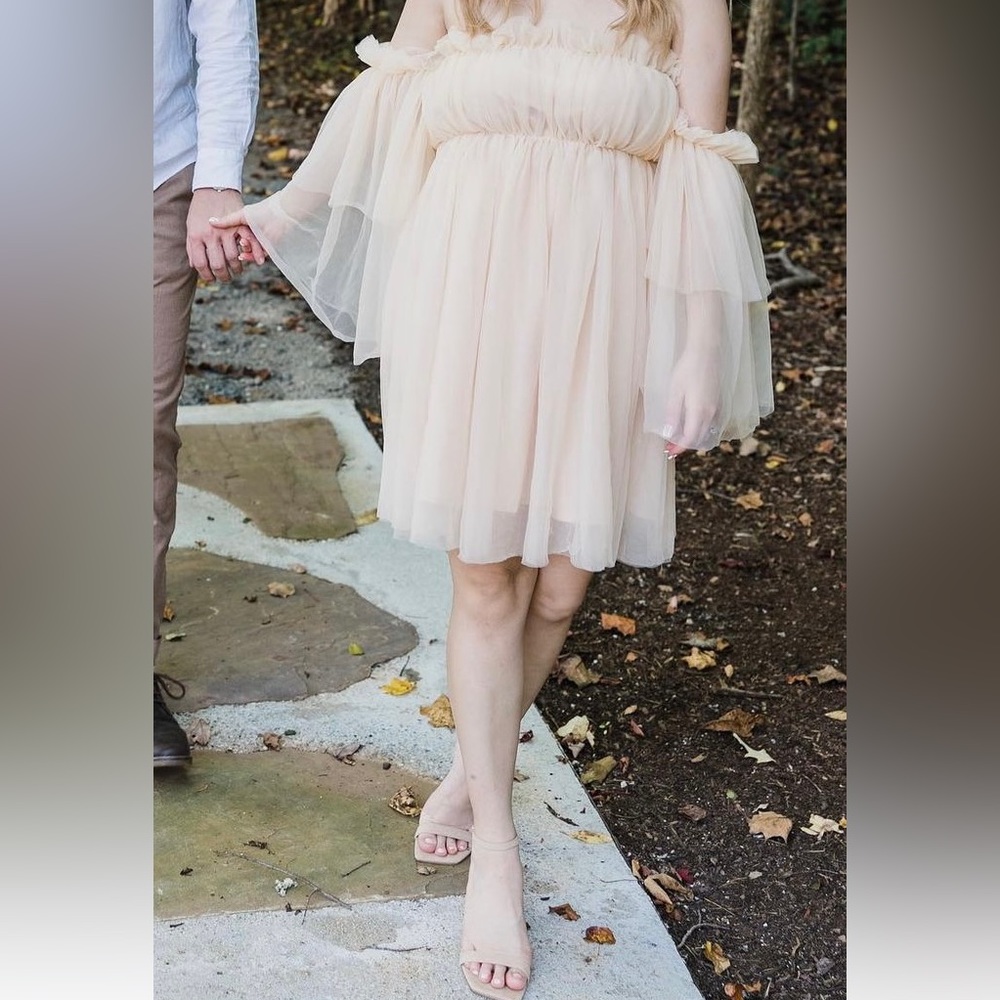 SHEIN BAE Off Shoulder Ruffle Mesh Dress